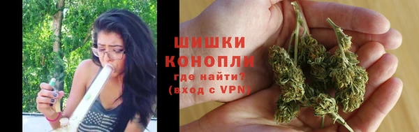 МДПВ Пестово