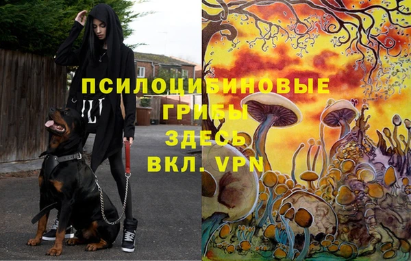 apvp Переславль-Залесский