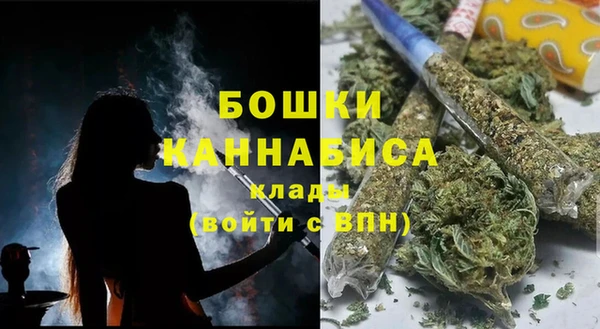 МДПВ Пестово