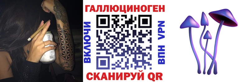 Галлюциногенные грибы Psilocybe  площадка клад  Гурьевск  продажа наркотиков 