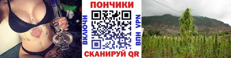 МАРИХУАНА конопля  где купить наркоту  Гурьевск 
